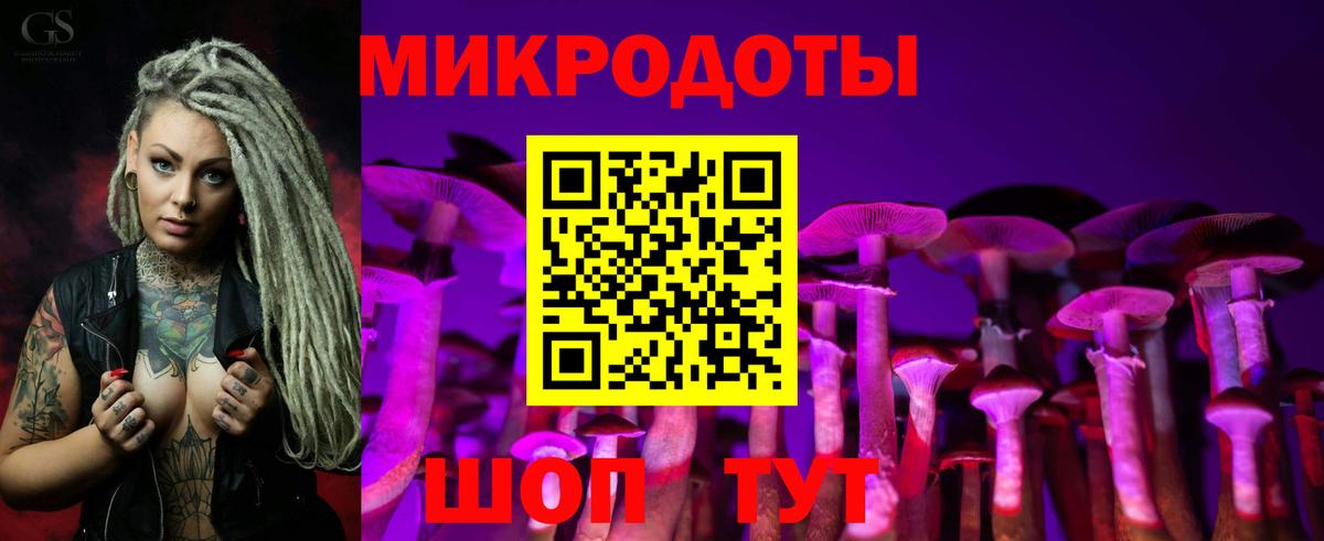 Галлюциногенные грибы мицелий Екатеринбург